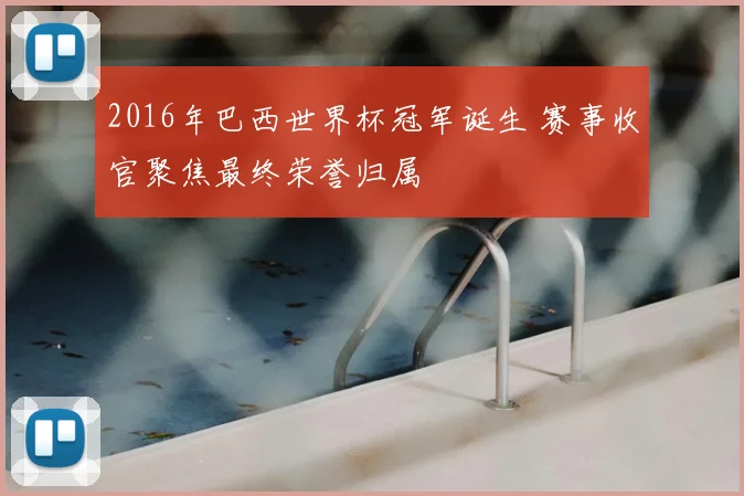 2016年巴西世界杯冠军诞生 赛事收官聚焦最终荣誉归属