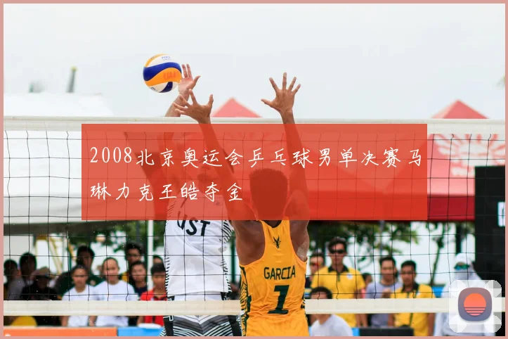 2008北京奥运会乒乓球男单决赛马琳力克王皓夺金